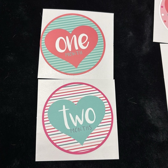 ABG Baby First Year Milestone Stickers 12 Count Infant Girls Precious Memories - Picture 10 of 16